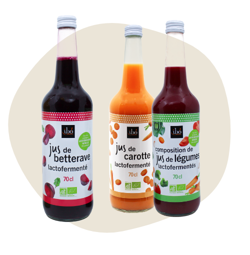 Jus lactofermentés